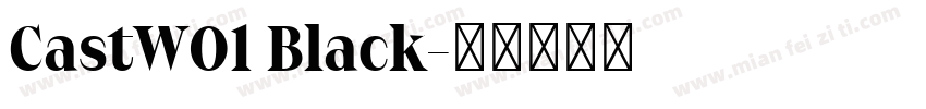 CastW01 Black字体转换